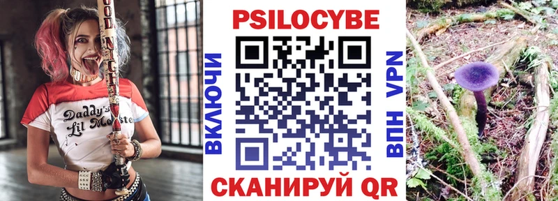 Галлюциногенные грибы Psilocybine cubensis  Среднеуральск 