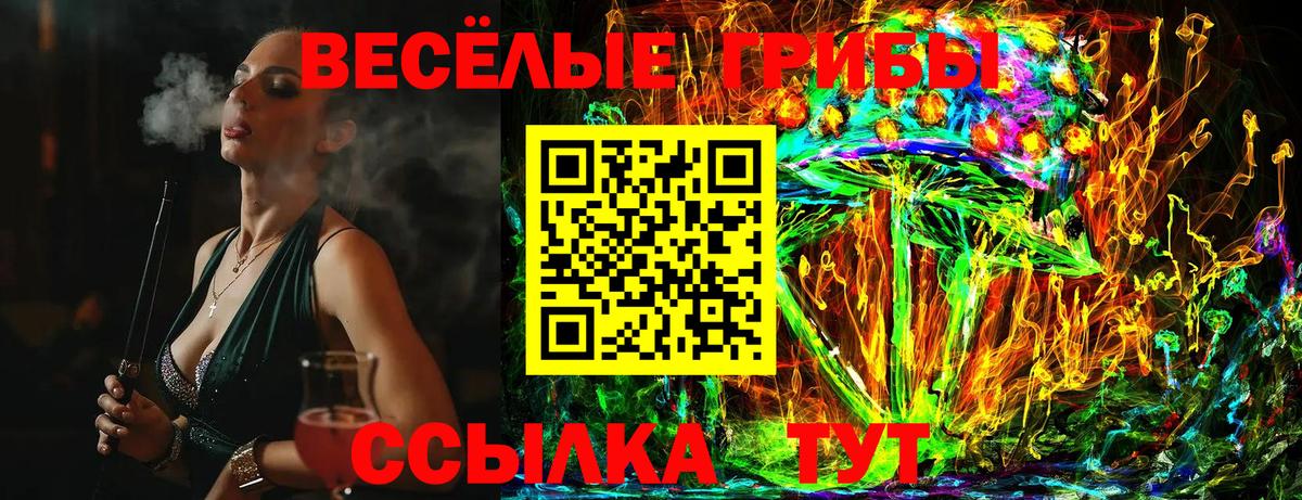 Псилоцибиновые грибы Cubensis  Вход с VPN  Среднеуральск 